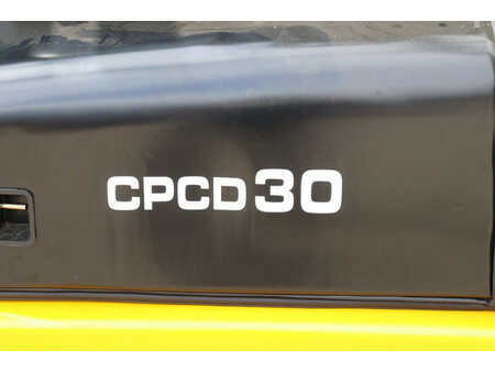 Dieseltruck 2024  [div] CPCD30 (15)
