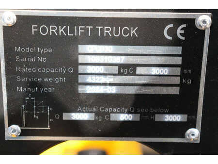 Dieseltruck 2024  [div] CPCD30 (17)