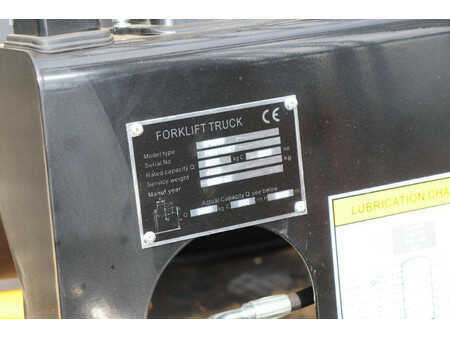 Dieseltruck 2024  [div] CPCD30 (19)