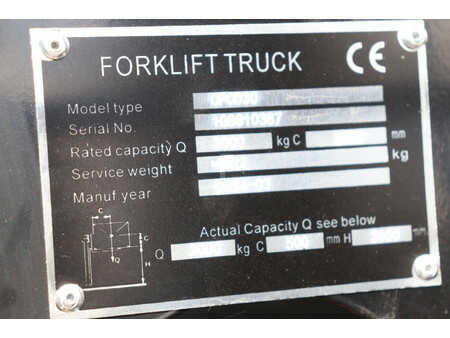 Dieseltruck 2024  [div] CPCD30 (20)
