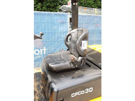 Dieseltruck 2024  [div] CPCD30 (23)