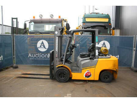 Gas gaffeltruck - Jungheinrich TFG 435 310ZT (2)
