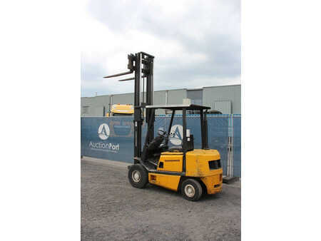 Carrelli elevatori diesel 1993  Jungheinrich DFG 25 G-120-320 ZT (29)
