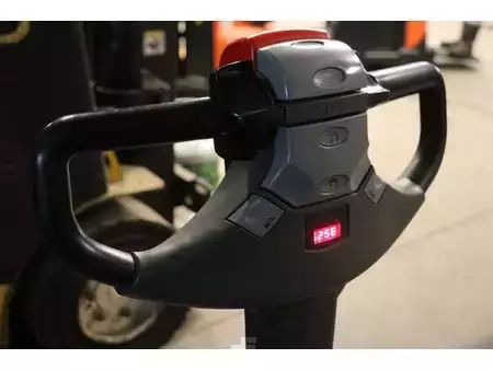 Pallestabler 2013  BT SWE200D (19)