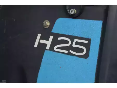 Treibgasstapler 2009  Linde H25T (13)