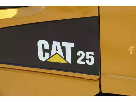 Carretilla elevadora GLP 2019  CAT Lift Trucks GP25NT (18)