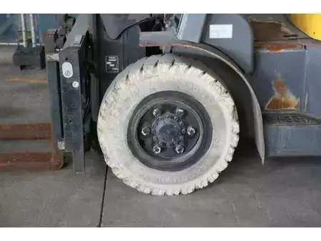 Carrelli elevatori GPL 2013  TCM FG50T9 (15)