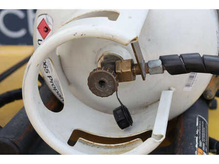 Carrelli elevatori GPL 2011  Yale GLP25VX F2170 (17)