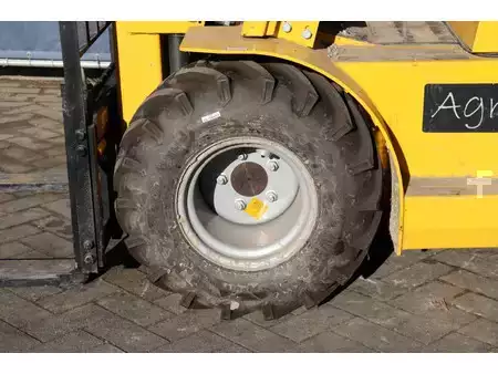 Dieselstapler 2022  [div] Agri 12 (16)