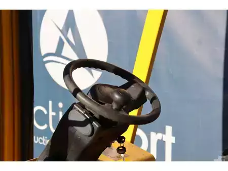 Dieselstapler 2022  [div] Agri 12 (29)