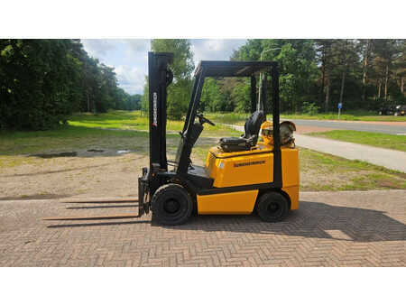 Empilhador a gás 1993  Jungheinrich TFG 20 (2)