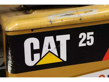 Carrelli elettrici 4 ruote 2010  CAT Lift Trucks EP25K-PAC (18)