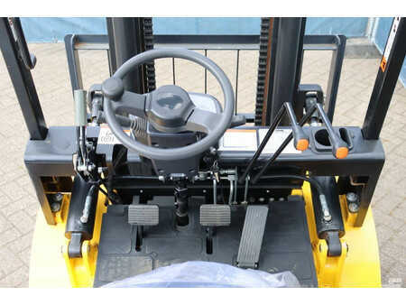 Diesel truck 2025  LTMG FD40 (14)