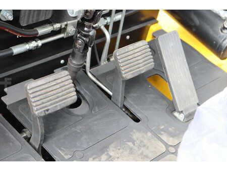 Diesel truck 2025  LTMG FD40 (18)