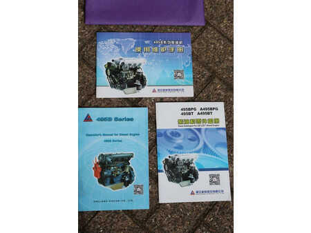 Diesel truck 2025  LTMG FD40 (27)