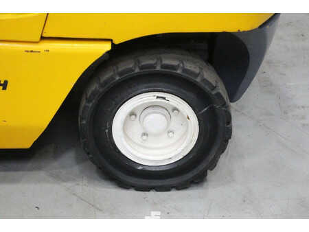 Carrelli elevatori diesel - Jungheinrich  (15)