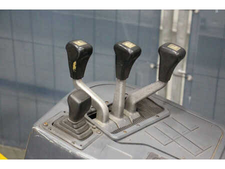 Carrelli elevatori diesel - Jungheinrich  (24)