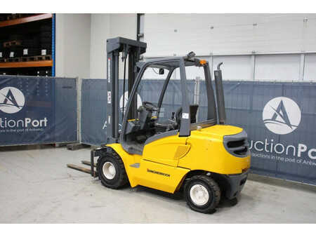 Carrelli elevatori diesel - Jungheinrich  (3)
