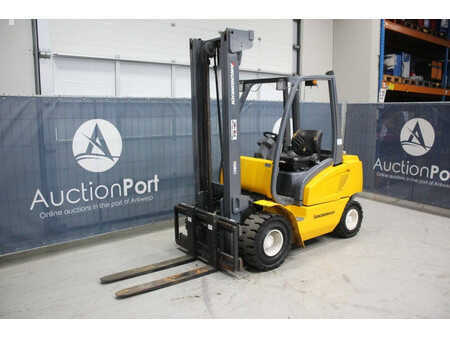 Carrelli elevatori diesel - Jungheinrich  (8)