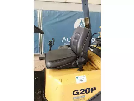 Gas gaffeltruck 2007  Daewoo-Doosan G20P-3 (21)