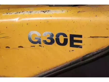 Empilhador a gás 2002  Daewoo G30E-3 (18)