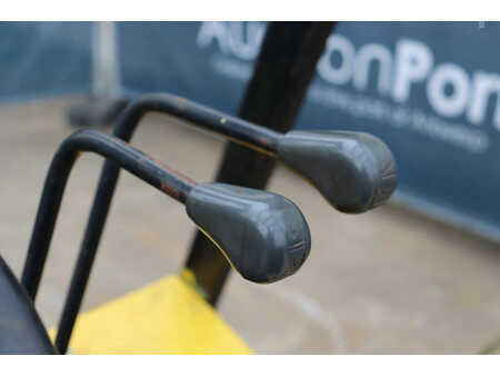 Carrelli elevatori diesel - Halla HDF 30 (22)