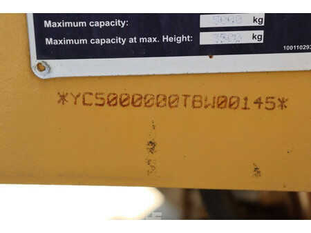 Sollevatori telescopici rigidi 2010  CAT Lift Trucks TH514 (30)