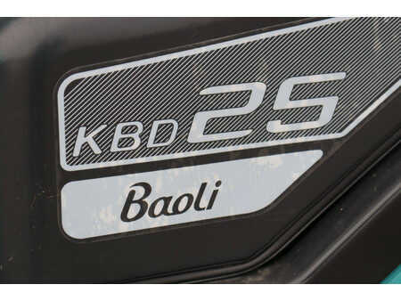 Carrelli elettrici 4 ruote 2022  Baoli KBD25 (18)
