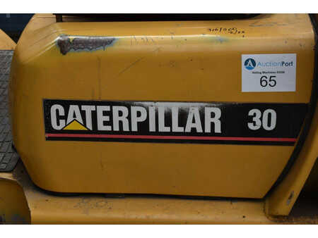 Carrelli elevatori diesel 1997  CAT Lift Trucks DP30 (15)