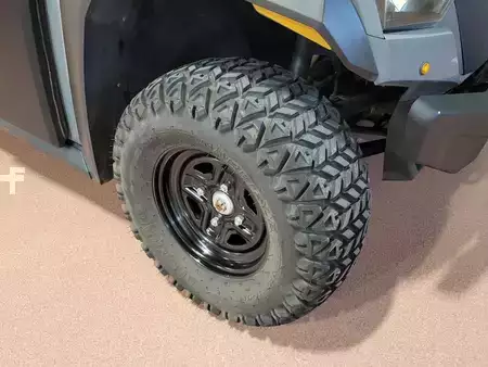 Misceláneos 2019  Cushman HAULER 4X4 (8)