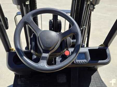Dieselstapler 2020  CAT Lift Trucks EC25N (11)