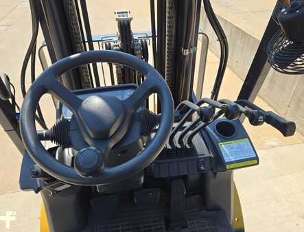 Propane Forklifts 2019  CAT Lift Trucks 2C5000 (14)