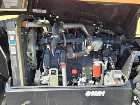 Manipulador fijo 2019  JLG 1644 (11)