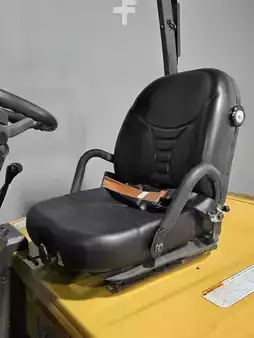 4-Wheel Electric 2017  CAT Lift Trucks EC25N2 (9)
