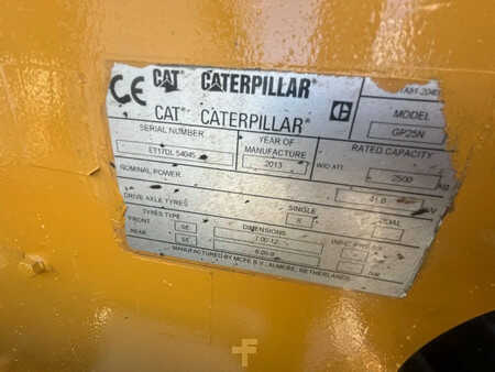 LPG heftrucks 2013  CAT Lift Trucks Heftruck GP25N (8)
