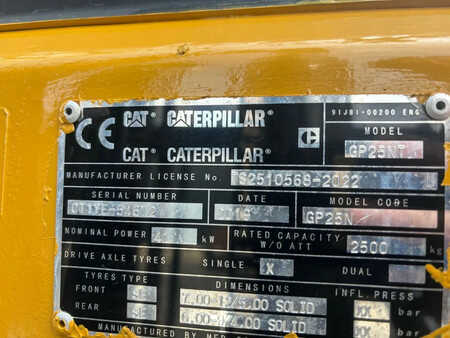Treibgasstapler 2022  CAT Lift Trucks Heftruck GP25NT (9)