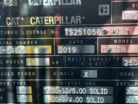 Gas gaffeltruck 2019  CAT Lift Trucks GP25N Heftruck (8)