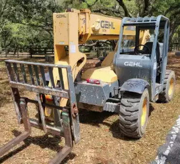 Telehandler Fixed 2014  Gehl RS6-34 (1)