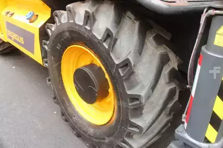 Telehandler Fixed 2018  Dieci 40.25 Pegasus (16)