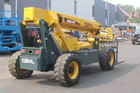 Telehandler Fixed 2017  Gehl RS6-34 (3)