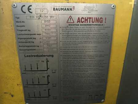 Seitenstapler 2012  Baumann EGX 60/14/55 SFH (9)