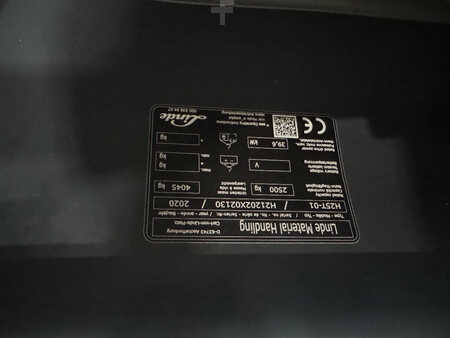 LPG VZV 2020  Linde 1202 H 25 T-01 (16)