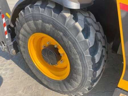 Manipulador fijo 2019  Dieci Pegasus 40.18 MIETE / RENTAL (12005342) (20)