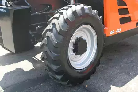 Telehandler Fixed 2015  JLG g6-42a (14)