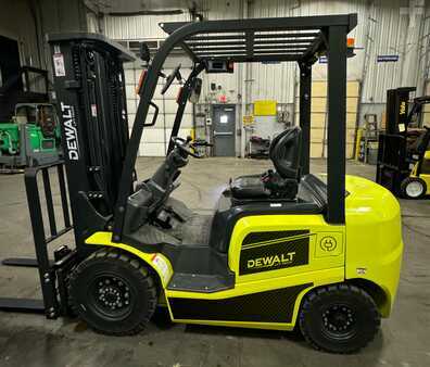 Dewalt 