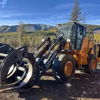Other 2019  Hyundai HL-955TM (1)