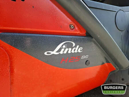 Treibgasstapler 2016  Linde H25T (11)