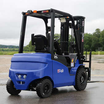 Eléctrico - 4 rodas 2024 EP Equipment EFL253 (3)