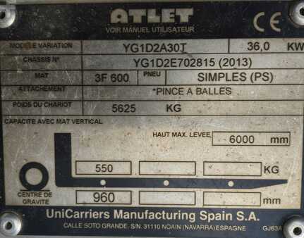 Anhänger 2013  Atlet YG1D2A30T (4)