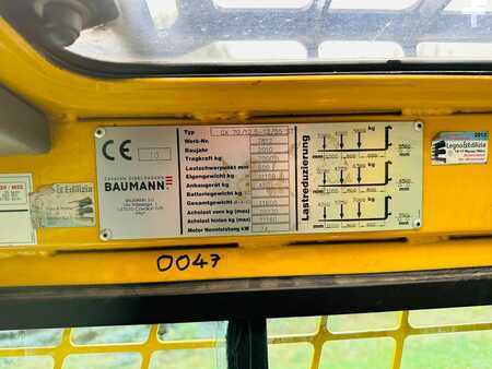 Baumann GX70 7T 7000 kg 2010